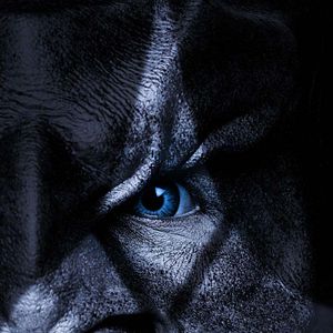 Photo Star Trek: Discovery