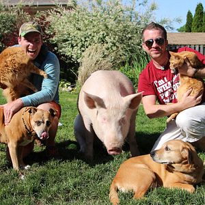 Photo La Fin de la viande