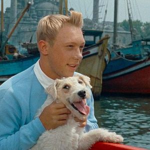 Photo Tintin et le mystère de la toison d'or