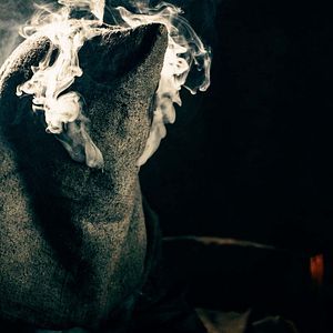 Photo Taboo