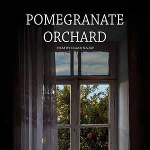 Photo Pomegranate Orchard