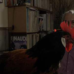 Photo La Fable du coq