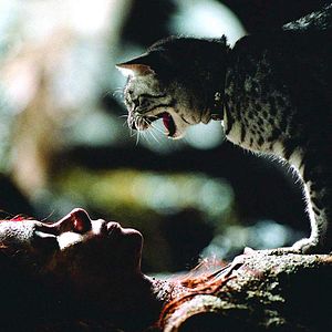 Photo Catwoman
