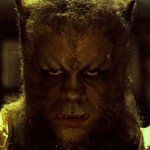 Photo La Nuit du loup-garou