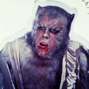 Photo La Nuit du loup-garou