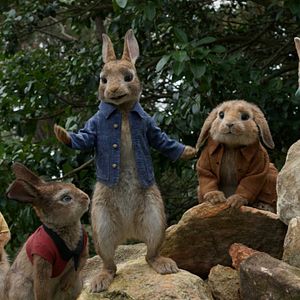 Photo Pierre Lapin