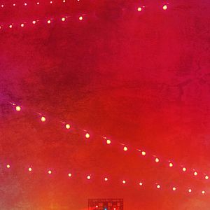 Photo Fight Of The Living Dead