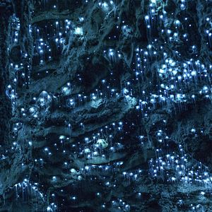 Photo Un nouveau jour sur Terre