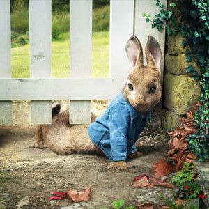 Photo Pierre Lapin