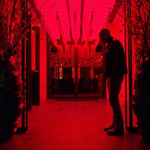 Photo L’ Âme du tigre