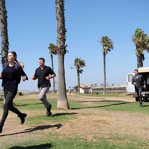 Photo Tom Welling