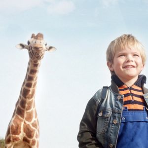 Photo Raf, ma Girafe