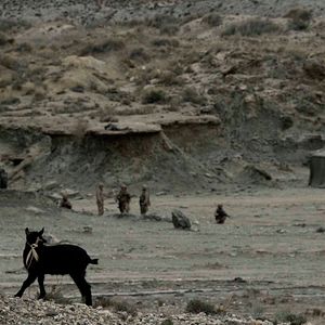 Photo Rescue under fire