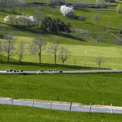 Photo Un Village dans le vent