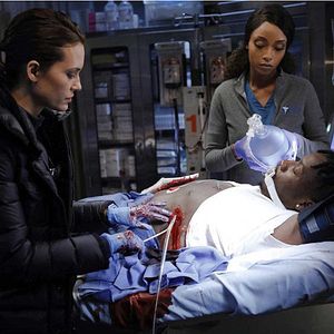 Photo Torrey DeVitto