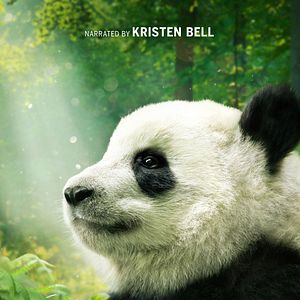Photo Pandas