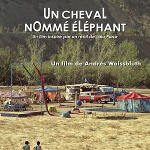 Photo Un cheval nommé éléphant