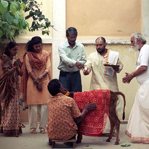 Photo Geetanjali Kulkarni