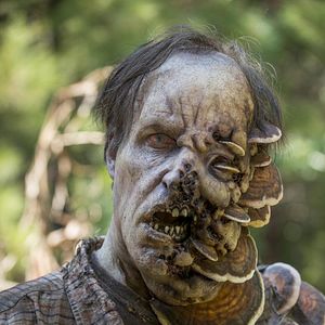 Photo The Walking Dead