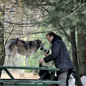 Photo Citizen Animal - A Small Family's Quest for Animal Rights