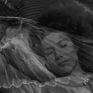 Photo Les Ailes du désir