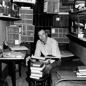 Photo Le Prisonnier d'Alcatraz
