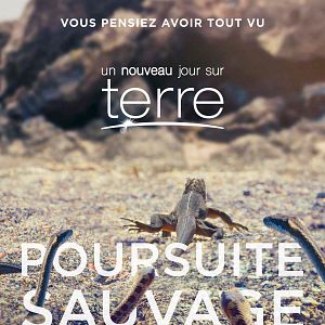 Photo Un nouveau jour sur Terre