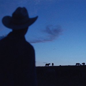 Photo The Rider
