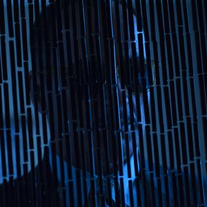 Photo Navid Negahban