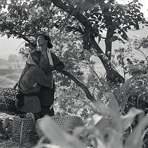 Photo La Femme insecte