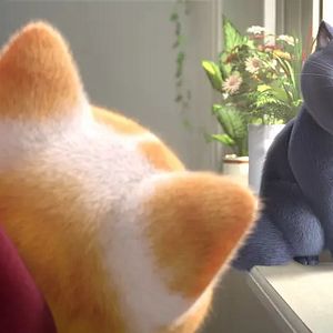 Photo Oscar et le monde des chats