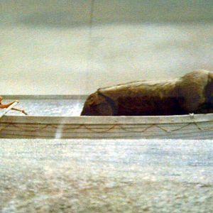 Photo Et vogue le navire