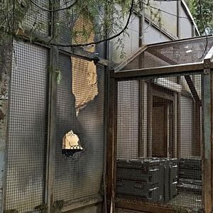 Photo Colony
