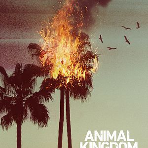 Photo Animal Kingdom