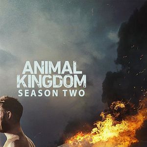 Photo Animal Kingdom