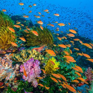 Photo Océans : Notre planète bleue