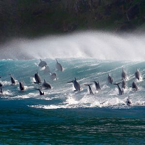 Photo Océans : Notre planète bleue