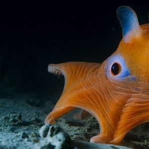Photo Océans : Notre planète bleue