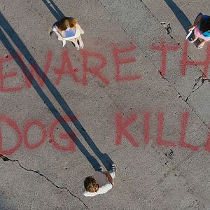 Photo Under The Silver Lake