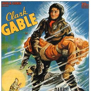 Photo L'Appel de la forêt