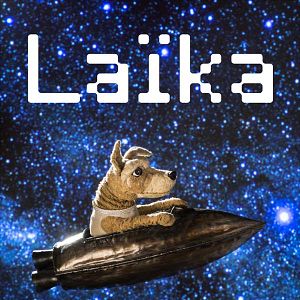 Photo Laïka