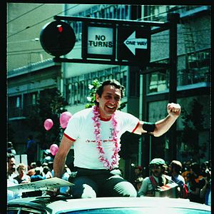 Photo The Times of Harvey Milk
