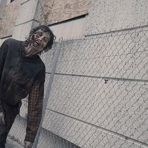 Photo Fear The Walking Dead