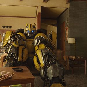 Photo Bumblebee