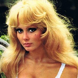 Photo France Anglade