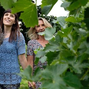 Photo Emily Corcoran