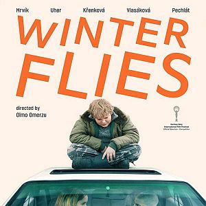 Photo Winter Flies