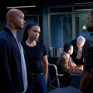 Photo Michelle Mitchenor