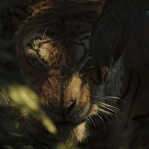 Photo Mowgli : la légende de la jungle