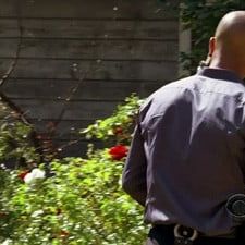 Photo Esprits criminels